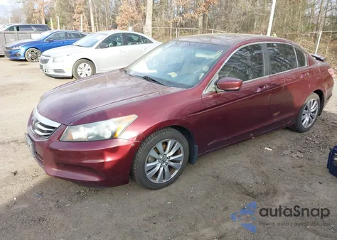 2011 Honda Accord 2.4 Ex-L из США, поврежденный, VIN 1HGCP2F83BA009341